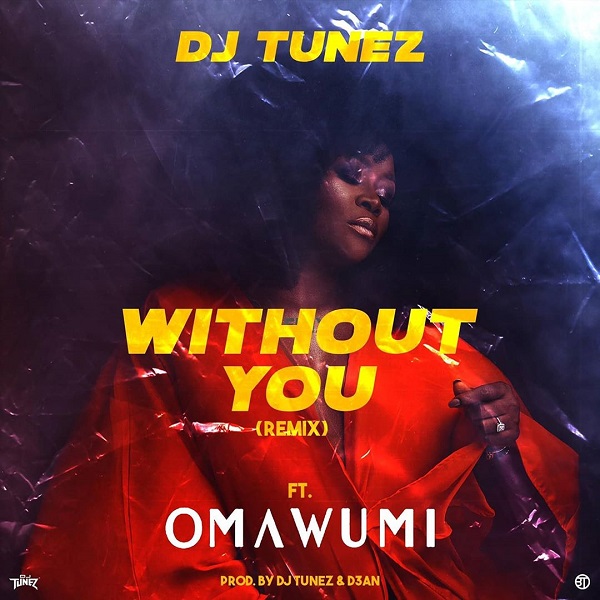 DJ Tunez Without You (Remix)